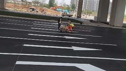 道路热熔标线涂料哪家强？