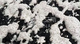 双组份标线涂料施工中泛黄问题的分析与解决