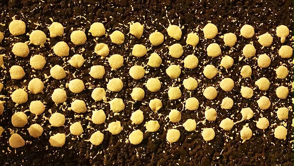 交通双组份标线涂料,双组份标线涂料,双组份标线涂料施工