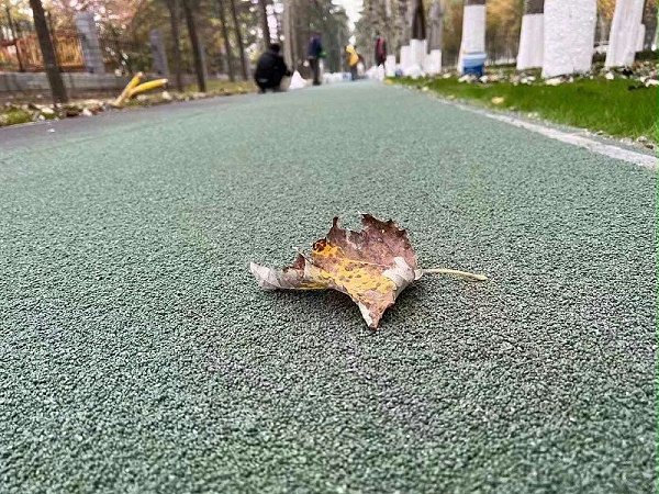 彩色防滑路面 (171)