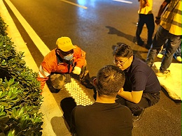 三艾斯-技术员指导施工（二）