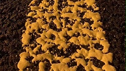 双组份道路标线vs热熔标线：实测数据告诉你该选哪个