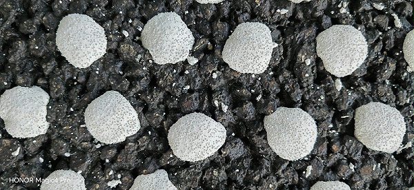 双组份道路标线,道路标线施工,双组份道路标线施工