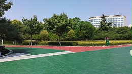 个性定制，功能升级：路面改色涂料打造城市新景观